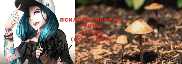 ГАЛЛЮЦИНОГЕННЫЕ ГРИБЫ Нефтегорск