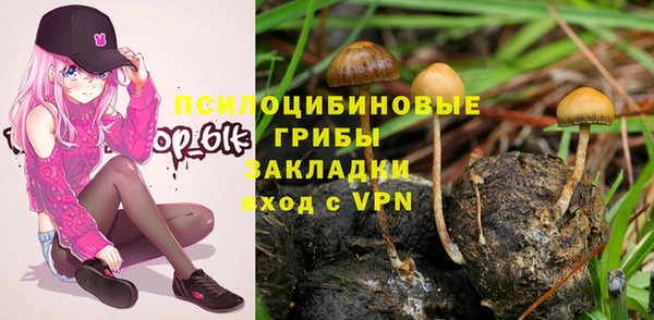 ГАЛЛЮЦИНОГЕННЫЕ ГРИБЫ Нефтегорск