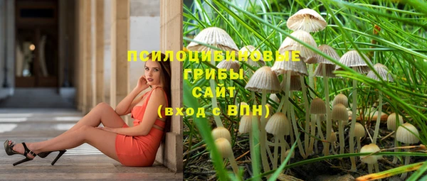 ГАЛЛЮЦИНОГЕННЫЕ ГРИБЫ Нефтегорск