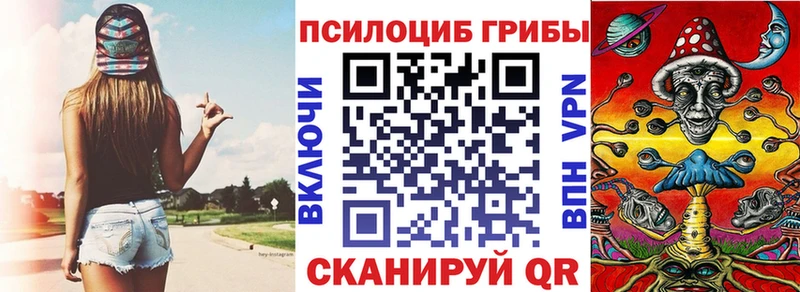 Псилоцибиновые грибы Psilocybe Ртищево