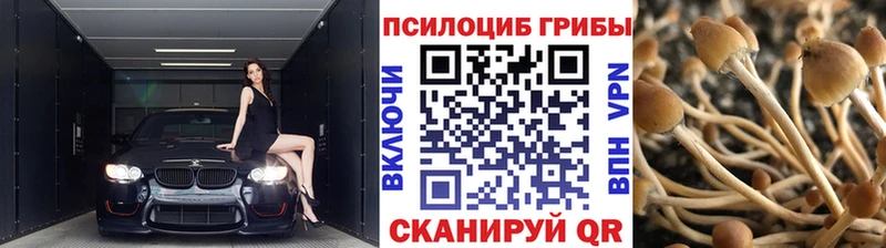 Псилоцибиновые грибы прущие грибы  Ртищево 