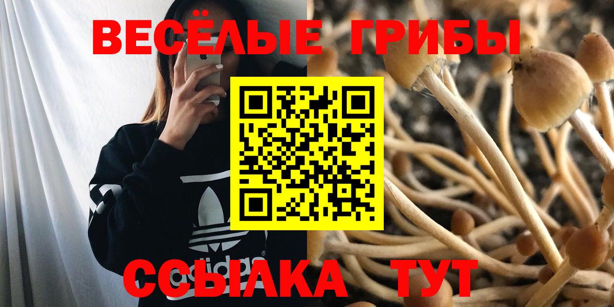 Псилоцибиновые грибы ЛСД Ртищево