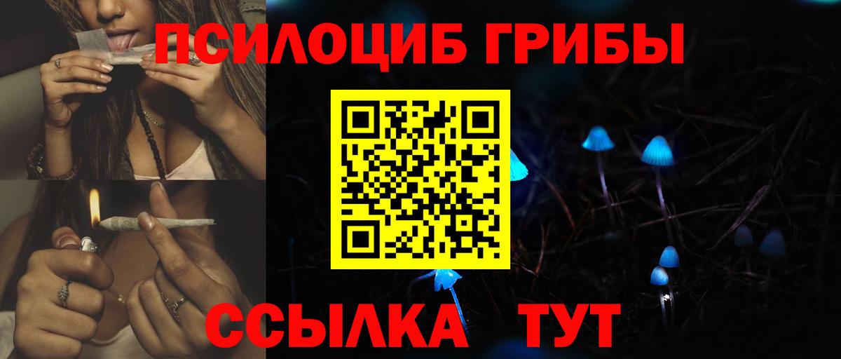 Псилоцибиновые грибы мицелий  Вход с VPN  Ртищево  Псилоцибиновые грибы ЛСД 